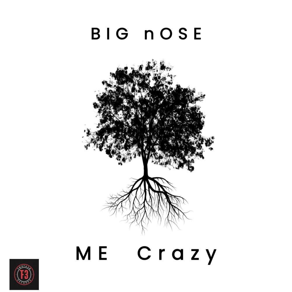 ME Crazy (Explicit)