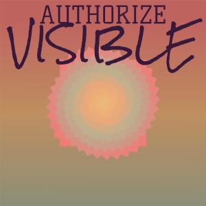 Various的专辑Authorize Visible