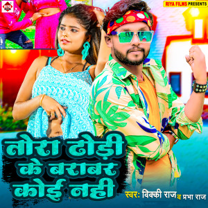 Listen to Tora Dhodi Ke Barabar Koi Nahi song with lyrics from Vicky Raj