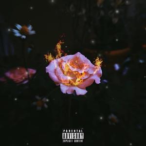 DRP的專輯Love Lessons (Explicit)