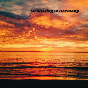 The Harmony的專輯Meditating In Harmony