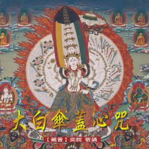 Dengarkan Mantra Of Ushnisha Sita Tapatra (Practice Version) (修行版) lagu dari 王俊雄 dengan lirik