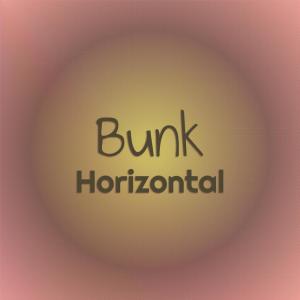 Various的专辑Bunk Horizontal