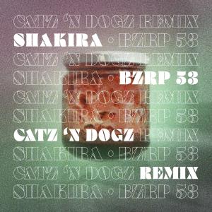 ดาวน์โหลดและฟังเพลง Shakira - Bzrp 53 (Catz 'N Dogz Remix) พร้อมเนื้อเพลงจาก Catz 'n Dogz