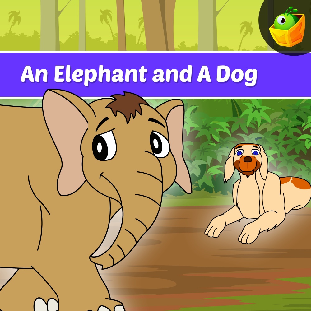An Elephant And A Dog
