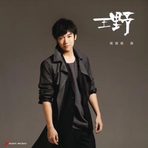 ดาวน์โหลดและฟังเพลง 夜夜夜夜 พร้อมเนื้อเพลงจาก 王野
