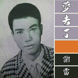 Dengarkan lagu 流浪天涯一男子 nyanyian 谢雷 dengan lirik