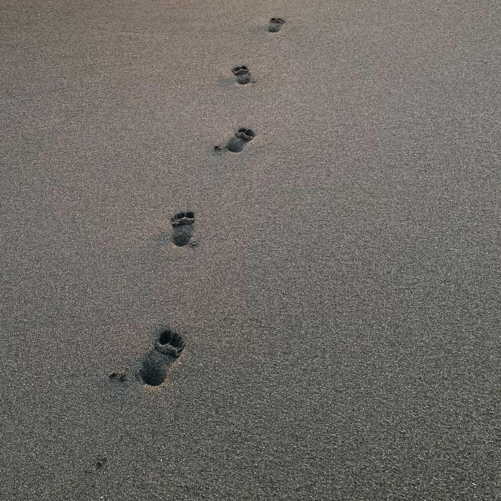 Walk Within