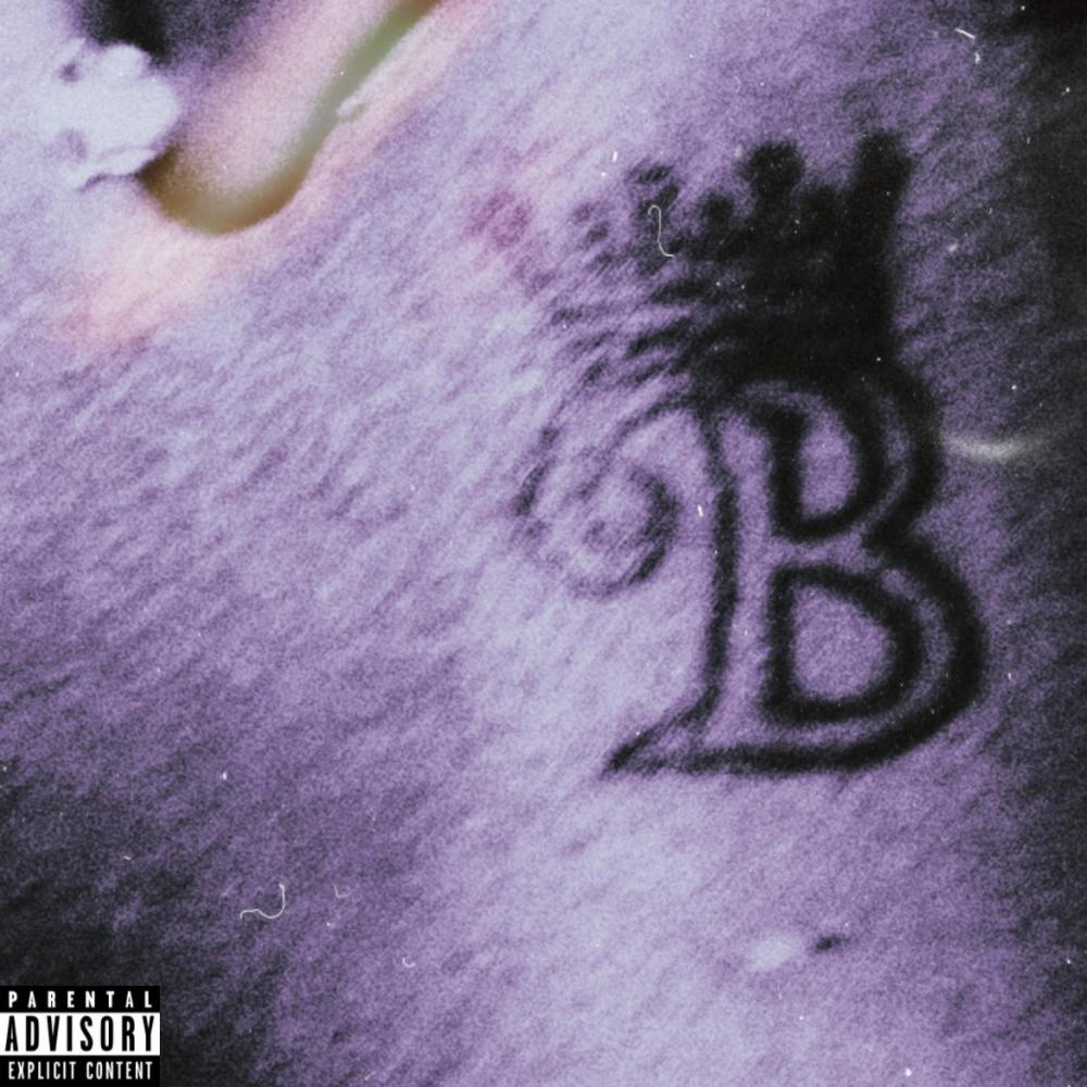Feedback
