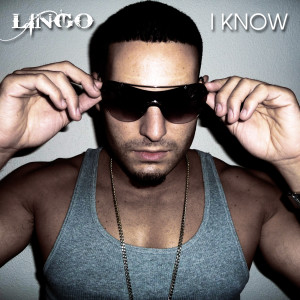Dengarkan lagu Sky's the Limit (feat. Louie Bello) nyanyian Lingo dengan lirik