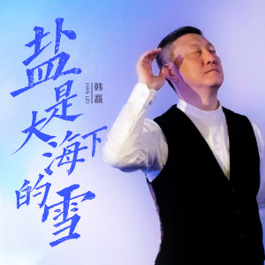 韩磊的专辑盐是大海下的雪