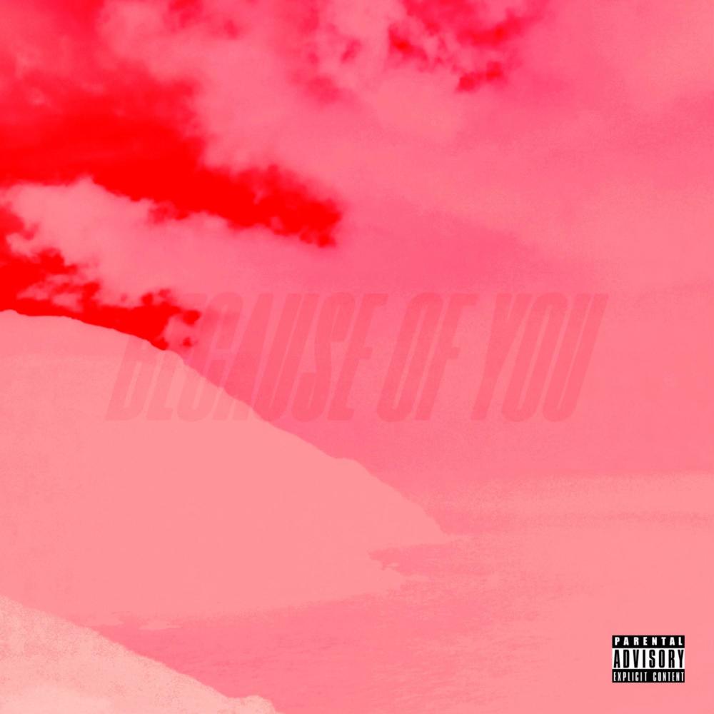 Because Of You (feat. Noah Hedges) (Explicit)