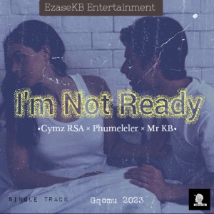 Listen to I'm Not Ready song with lyrics from Mr KB
