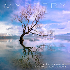 Sean Johnson & The Wild Lotus Band的專輯Mystery (Om Namo Narayanaya)