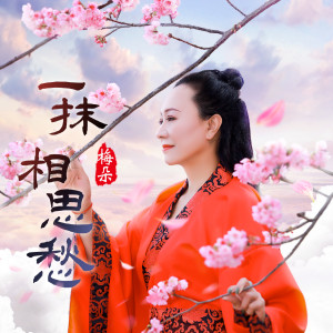 收聽梅朵的一抹相思愁歌詞歌曲
