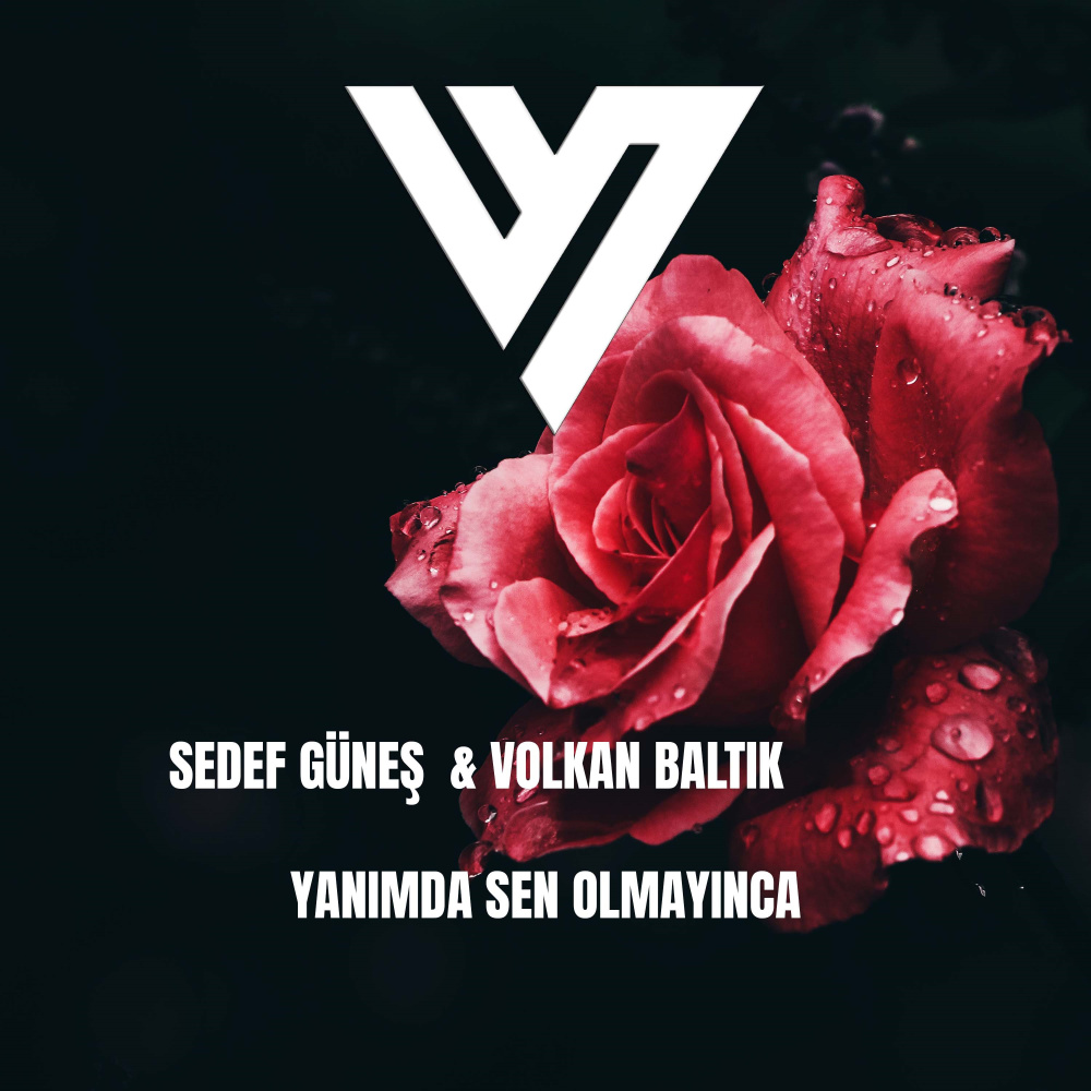 Yanımda Sen Olmayınca (Remix)