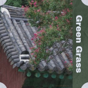Listen to Green Grass song with lyrics from Gary Lewis