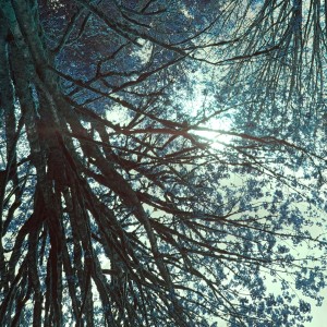 收聽Andy Fischer-Price的Drunken Road歌詞歌曲