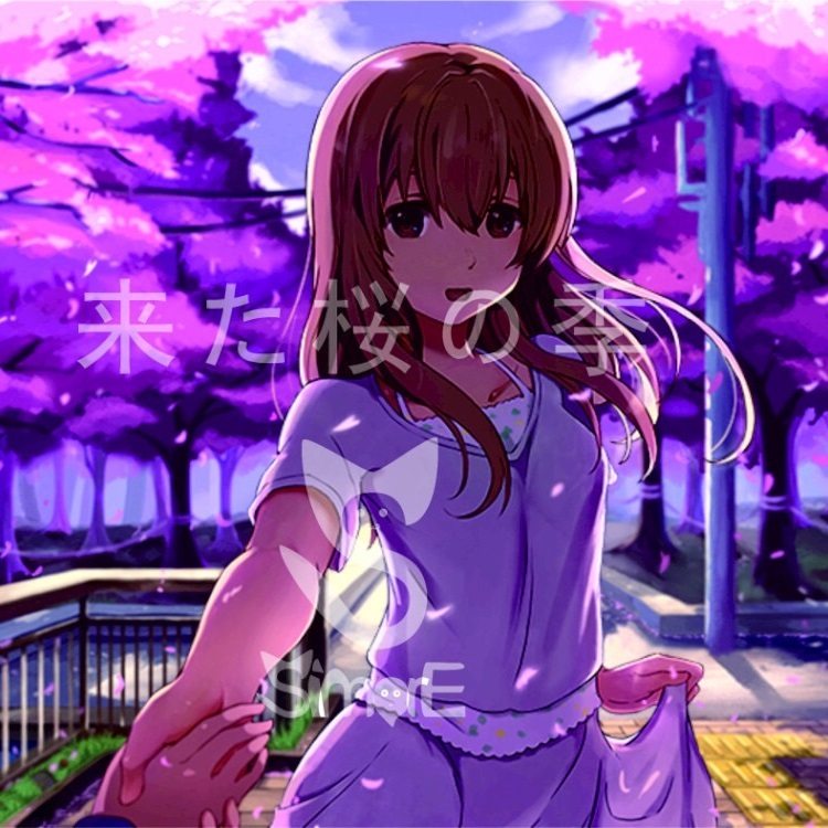 来た桜の季 (其他)