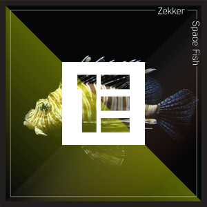 ดาวน์โหลดและฟังเพลง Space Fish พร้อมเนื้อเพลงจาก Zekker