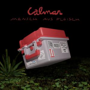 收聽Calman的Was wir wollen (feat. DISSY)歌詞歌曲