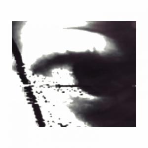 收听I see the Raccoons的Momentary relief歌词歌曲