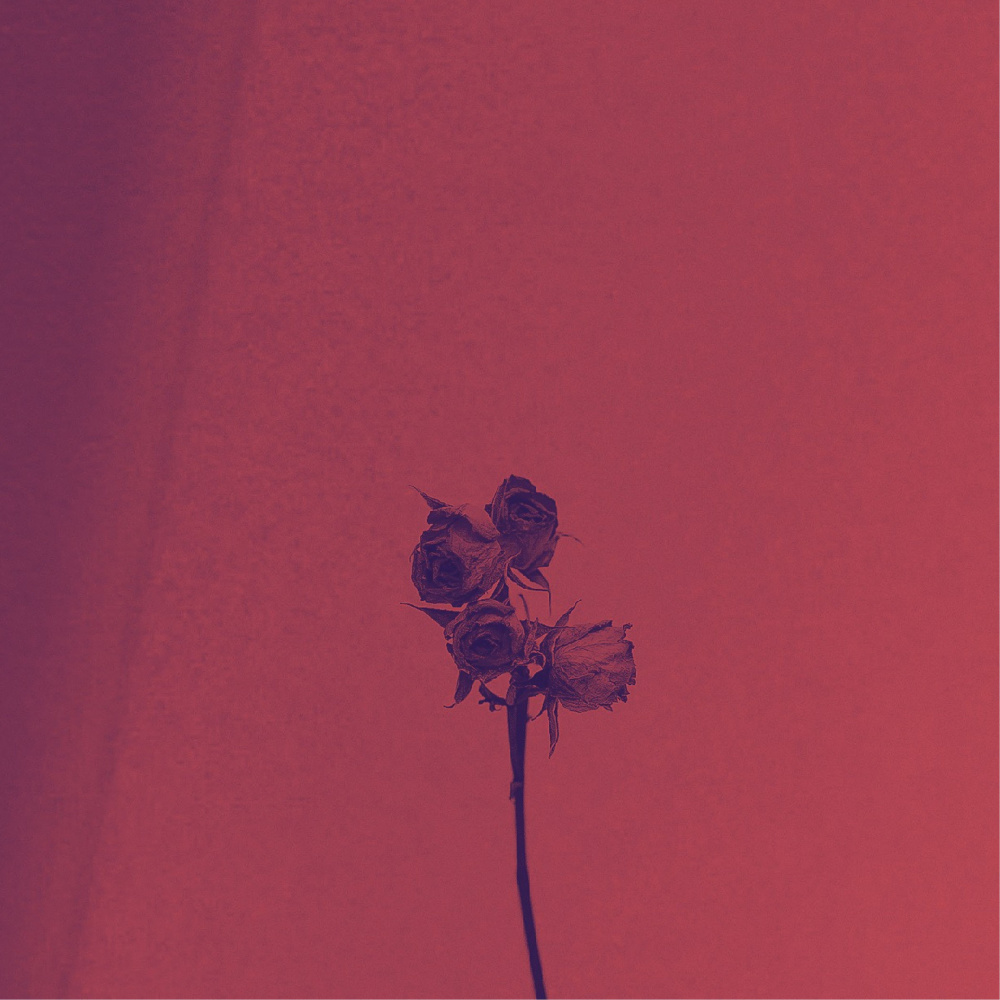 Rio Celeste (slowed and reverb)
