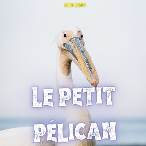 Annie Cordy的專輯Le petit pélican