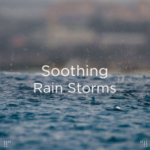 ดาวน์โหลดและฟังเพลง 睡眠のための大雨 พร้อมเนื้อเพลงจาก Thunder Storms & Rain Sounds