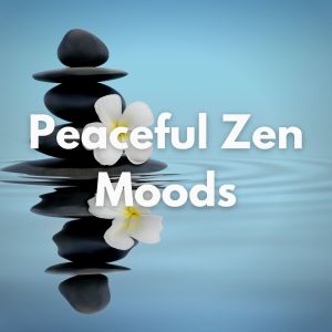 收听Relaxing Music Therapy的Meditations歌词歌曲