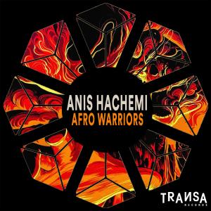 Anis Hachemi的专辑Afro Warriors