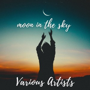 Album Moon in the sky oleh Various