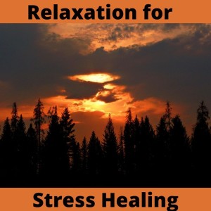Listen to Awake Mind song with lyrics from Positive Energy