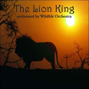 Dengarkan The Circle Of Life lagu dari Wildlife Orchestra dengan lirik