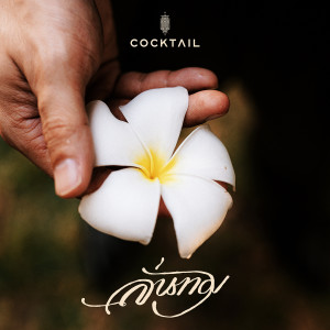 อัลบัม ลั่นทม - Single ศิลปิน Cocktail