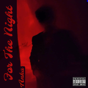 Album For the Night (Explicit) from Anka