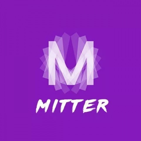 MitiS - The boy hafan open window Forever (MitiS remix)