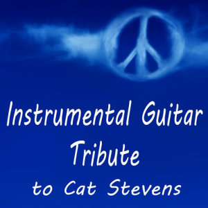 收聽Steve Petrunak的Where Do the Children Play (Instrumental Version)歌詞歌曲