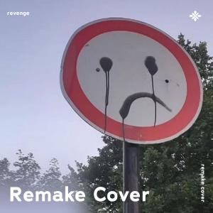 Revenge - Remake Cover