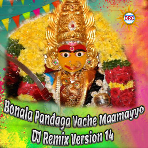 P.N. Lingaraju的专辑Bonala Pandaga Vache Maamayyo (DJ Remix Version 14)