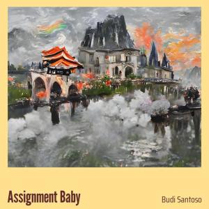 Album Assignment Baby oleh Budi Santoso