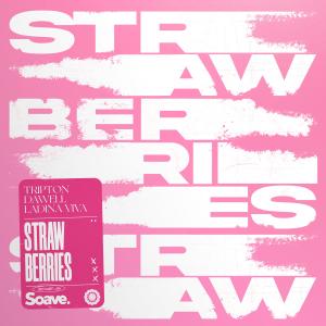 Album Strawberries oleh Tripton