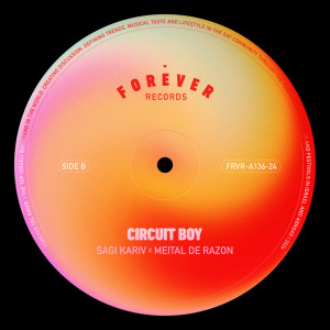 Meital De Razon的專輯Circuit Boy