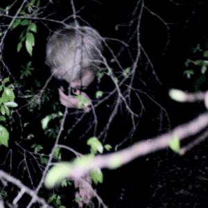 ดาวน์โหลดและฟังเพลง EYESORE (Explicit) พร้อมเนื้อเพลงจาก Xander Crowley