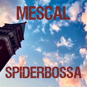 Listen to Spiderbossa song with lyrics from MESCAL
