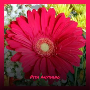Listen to Policing song with lyrics from Anan Maman