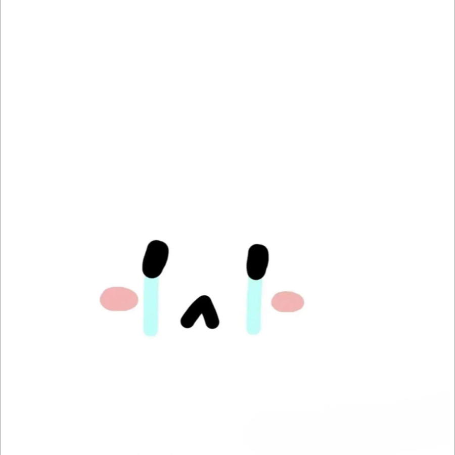 海鸥欧包