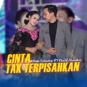 ดาวน์โหลดและฟังเพลง Cinta Tak Terpisahkan พร้อมเนื้อเพลงจาก Niken Salindry