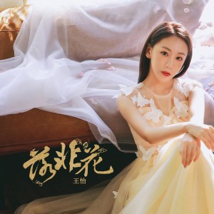 Album 落非花 oleh 王怡