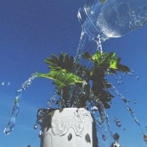 ดาวน์โหลดและฟังเพลง F A V O R (feat. Bryant Lamar) พร้อมเนื้อเพลงจาก Friday School